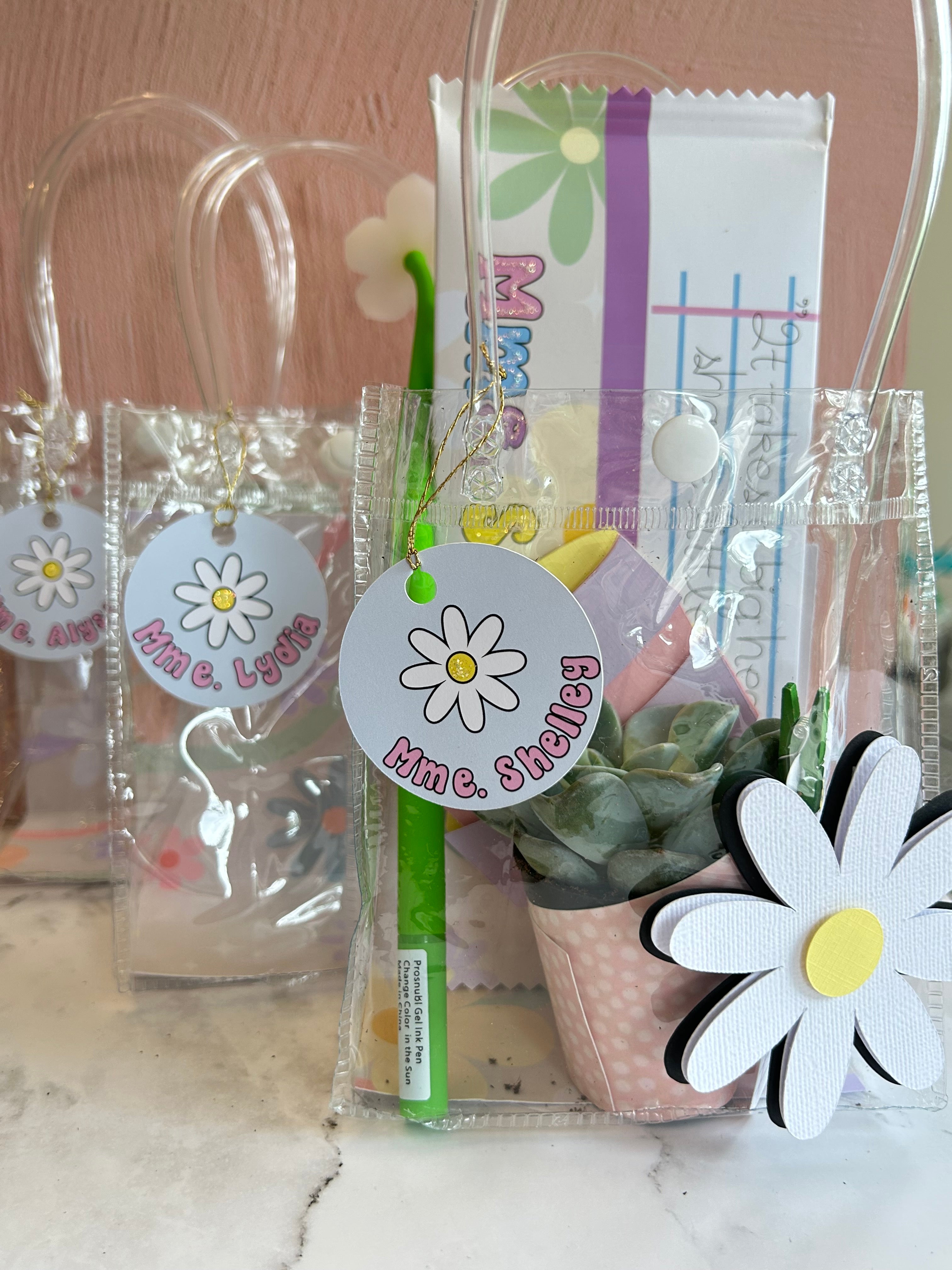 Locmeo 200 Pieces Plastic Teacher Appreciation Gift Bags Bulk 9'' X 12'' Thank You Teacher Party Favors Bags Teacher Ever Treat Bags